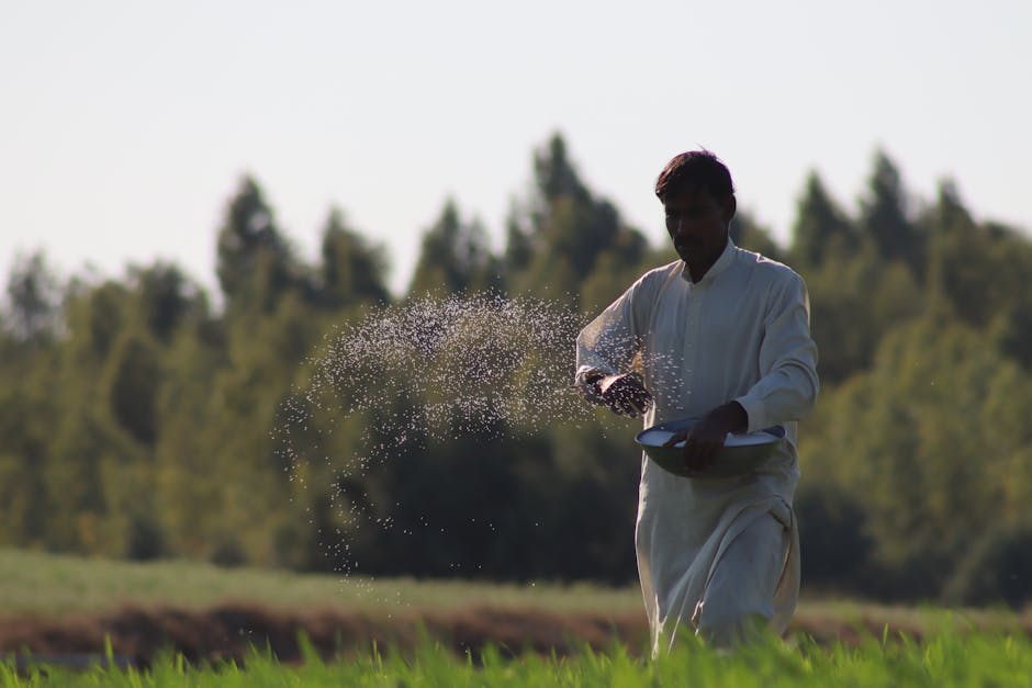 A farmer in traditional attire sows seeds in a vibrant green field under the clear sky.