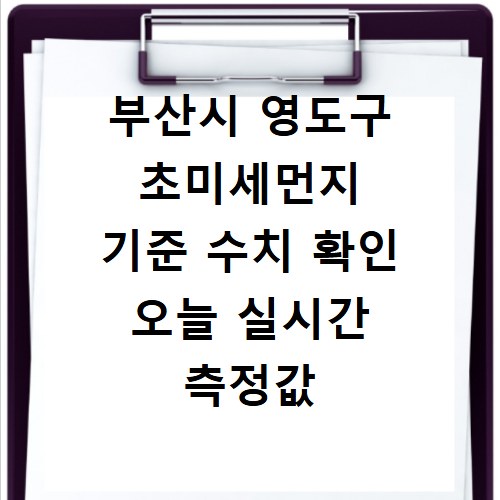 부산시 영도구 초미세먼지 기준 수치 확인 오늘 실시간 측정값 확인하기