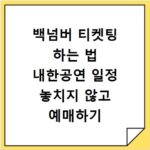 백넘버 티켓팅 하는 법 내한공연 일정 놓치지 않고 예매하기
