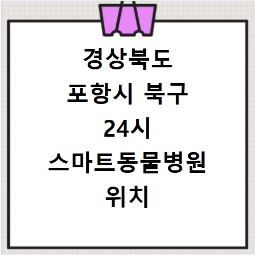 경상북도 포항시 북구 24시 스마트동물병원 위치 연락처 전화번호