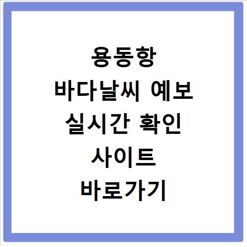 용동항 바다날씨 예보 실시간 확인 사이트 바로가기