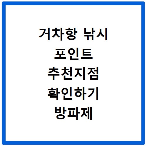 거차항 낚시 포인트 추천지점 확인하기 방파제 포함