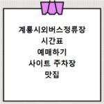계룡시외버스정류장 시간표 예매하기 사이트 주차장 맛집 카페