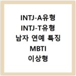 INTJ-A유형 INTJ-T유형 남자 연예 특징 MBTI 이상형 궁합