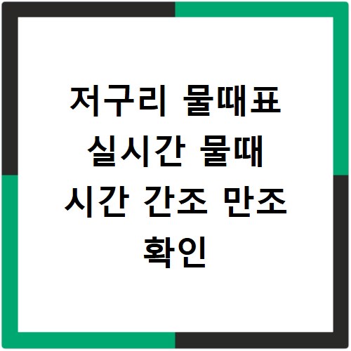저구리 물때표 실시간 물때 시간 간조 만조 확인