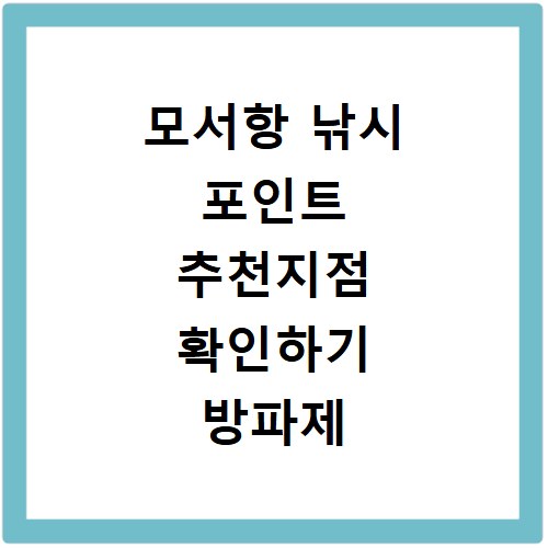 모서항 낚시 포인트 추천지점 확인하기 방파제 포함