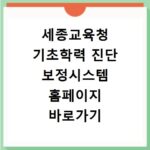 세종교육청 기초학력 진단 보정시스템 홈페이지 바로가기 평가
