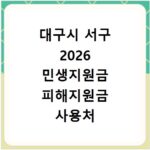 대구시 서구 2026 민생지원금 피해지원금 사용처 총정리