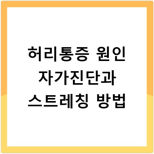 허리통증 원인 자가진단과 스트레칭 방법