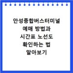 안성종합버스터미널 예매 방법과 시간표 노선도 확인하는 법 알아보기