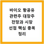 바이오 항공유 관련주 대장주 전망과 시장 선점 핵심 종목 정리