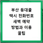 부산 등대콜 택시 전화번호 새벽 예약 방법과 이용 꿀팁 정리