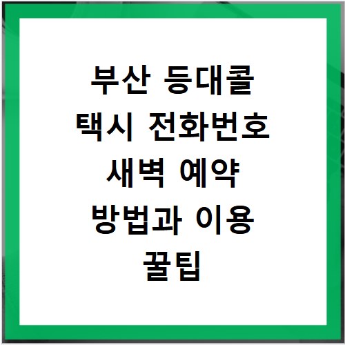 부산 등대콜 택시 전화번호 새벽 예약 방법과 이용 꿀팁 정리