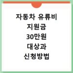 자동차 유류비 지원금 30만원 대상과 신청방법 확인
