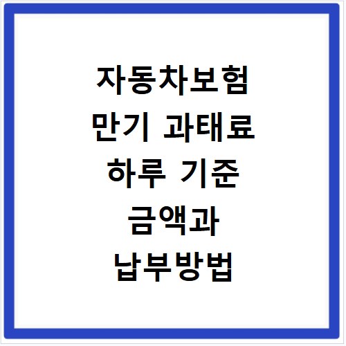 자동차보험 만기 과태료 하루 기준 금액과 납부방법 확인