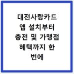 대전사랑카드 앱 설치부터 충전 및 가맹점 혜택까지 한 번에 알아보기