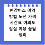 한강버스 예약 방법 노선 가격 시간표 여의도 잠실 이용 꿀팁 정리