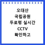 오대산 국립공원 두로령 실시간 CCTV 확인하고 기상 정보까지 한눈에 보는 방법