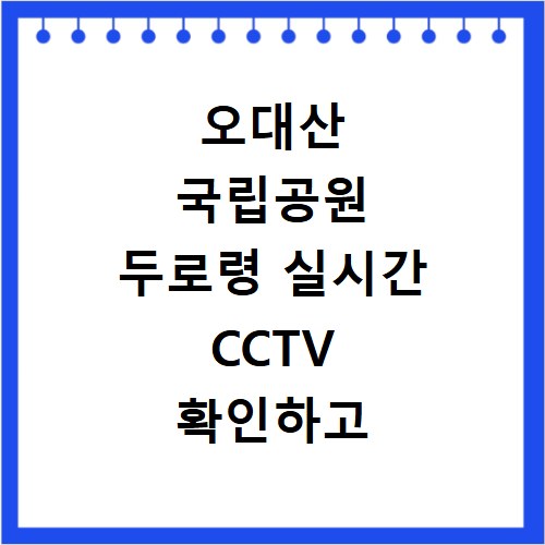 오대산 국립공원 두로령 실시간 CCTV 확인하고 기상 정보까지 한눈에 보는 방법
