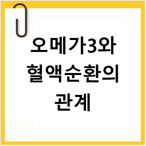 오메가3와 혈액순환의 관계