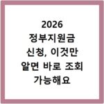 2026 정부지원금 신청, 이것만 알면 바로 조회 가능해요