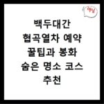 백두대간 협곡열차 예약 꿀팁과 봉화 숨은 명소 코스 추천