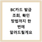 BC카드 발급 조회, 확인 방법까지 한 번에 알려드릴게요