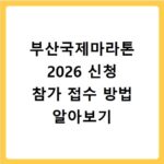 부산국제마라톤 2026 신청 참가 접수 방법 알아보기