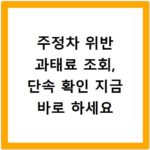 주정차 위반 과태료 조회, 단속 확인 지금 바로 하세요