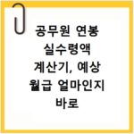 공무원 연봉 실수령액 계산기, 예상 월급 얼마인지 바로 확인하자