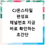 CJ온스타일 편성표 채널번호 지금 바로 확인하는 초간단 방법