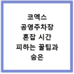 코엑스 공영주차장 혼잡 시간 피하는 꿀팁과 숨은 대안 찾기