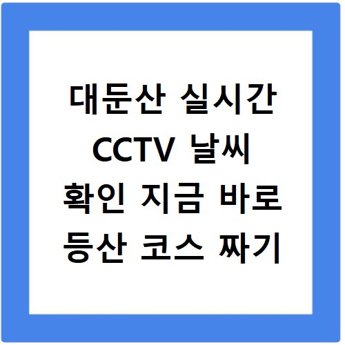 대둔산 실시간 CCTV 날씨 확인 지금 바로 등산 코스 짜기