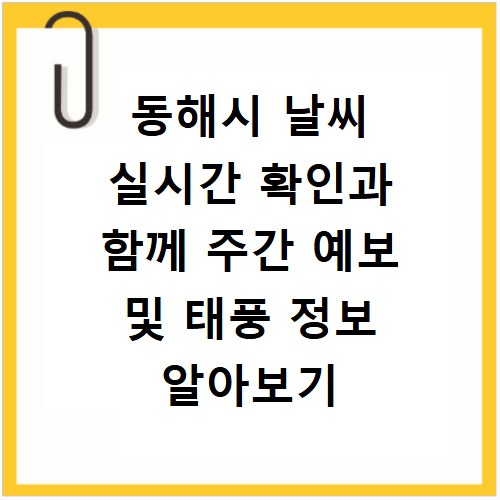 동해시 날씨 실시간 확인과 함께 주간 예보 및 태풍 정보 알아보기