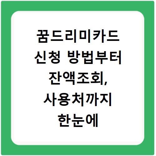 꿈드리미카드 신청 방법부터 잔액조회, 사용처까지 한눈에 확인