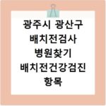 광주시 광산구 배치전검사 병원찾기 배치전건강검진 항목 비용조회
