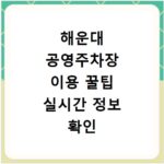 해운대 공영주차장 이용 꿀팁 실시간 정보 확인 방법
