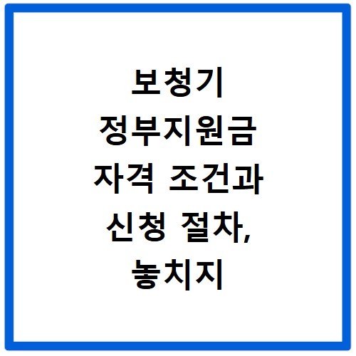보청기 정부지원금 자격 조건과 신청 절차, 놓치지 마세요