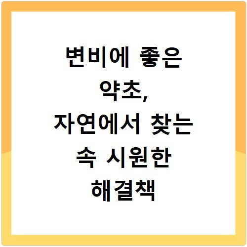 변비에 좋은 약초, 자연에서 찾는 속 시원한 해결책