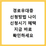 경로우대증 신청방법 나이 신청시기 혜택 지금 바로 확인하세요