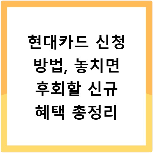 현대카드 신청 방법, 놓치면 후회할 신규 혜택 총정리