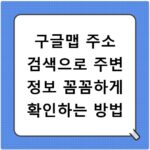 구글맵 주소 검색으로 주변 정보 꼼꼼하게 확인하는 방법