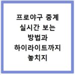 프로야구 중계 실시간 보는 방법과 하이라이트까지 놓치지 않는 법