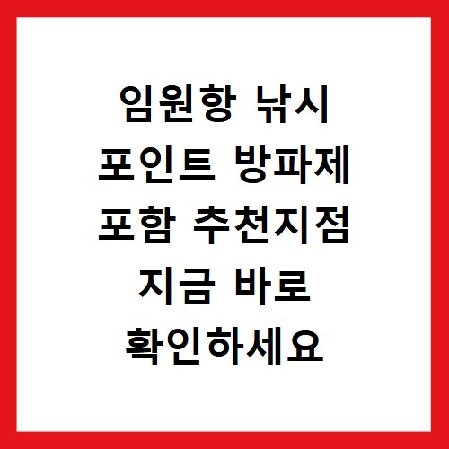 임원항 낚시 포인트 방파제 포함 추천지점 지금 바로 확인하세요