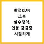 한전KDN 초봉 실수령액, 연봉 궁금증 시원하게 해결해 드립니다
