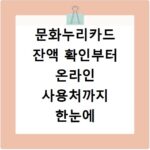 문화누리카드 잔액 확인부터 온라인 사용처까지 한눈에 알아보세요