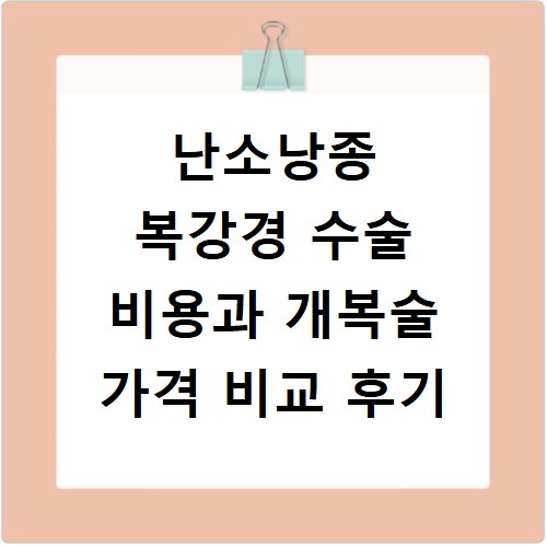 난소낭종 복강경 수술 비용과 개복술 가격 비교 후기