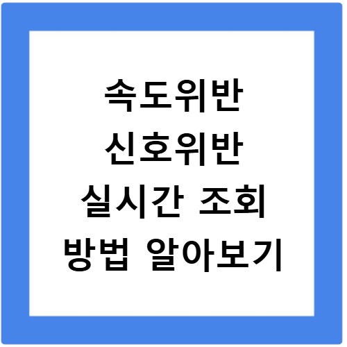 속도위반 신호위반 실시간 조회 방법 알아보기
