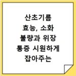 산초기름 효능, 소화 불량과 위장 통증 시원하게 잡아주는 비결