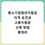 중소기업청년지원금 자격 요건과 고용지원금 신청 방법 총정리